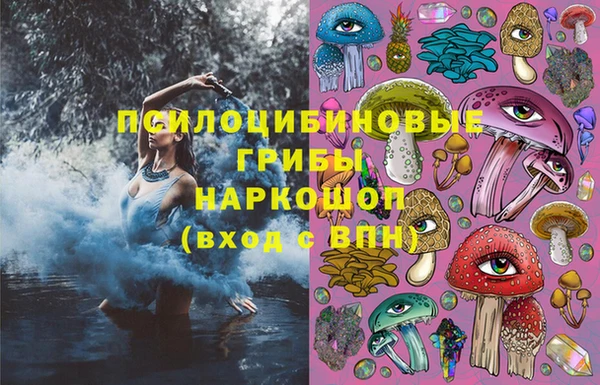 a pvp Козловка