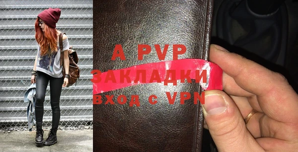 прущие грибы Козельск