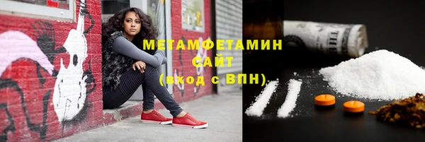 прущие грибы Козельск