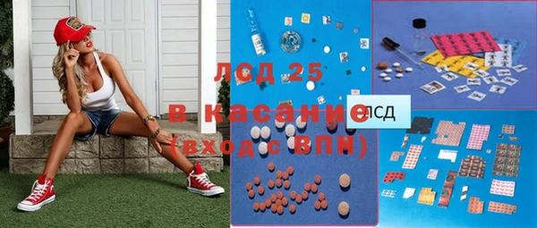 прущие грибы Козельск