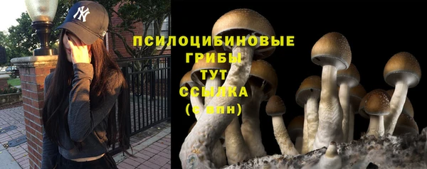a pvp Козловка