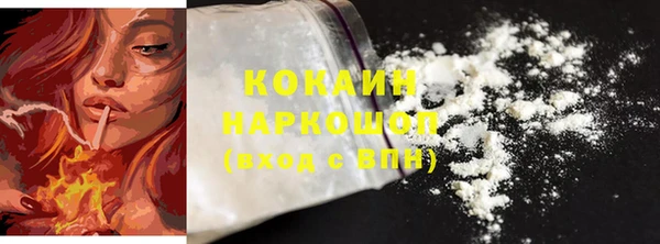 прущие грибы Козельск