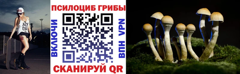 Псилоцибиновые грибы MAGIC MUSHROOMS  Купить  Горбатов 